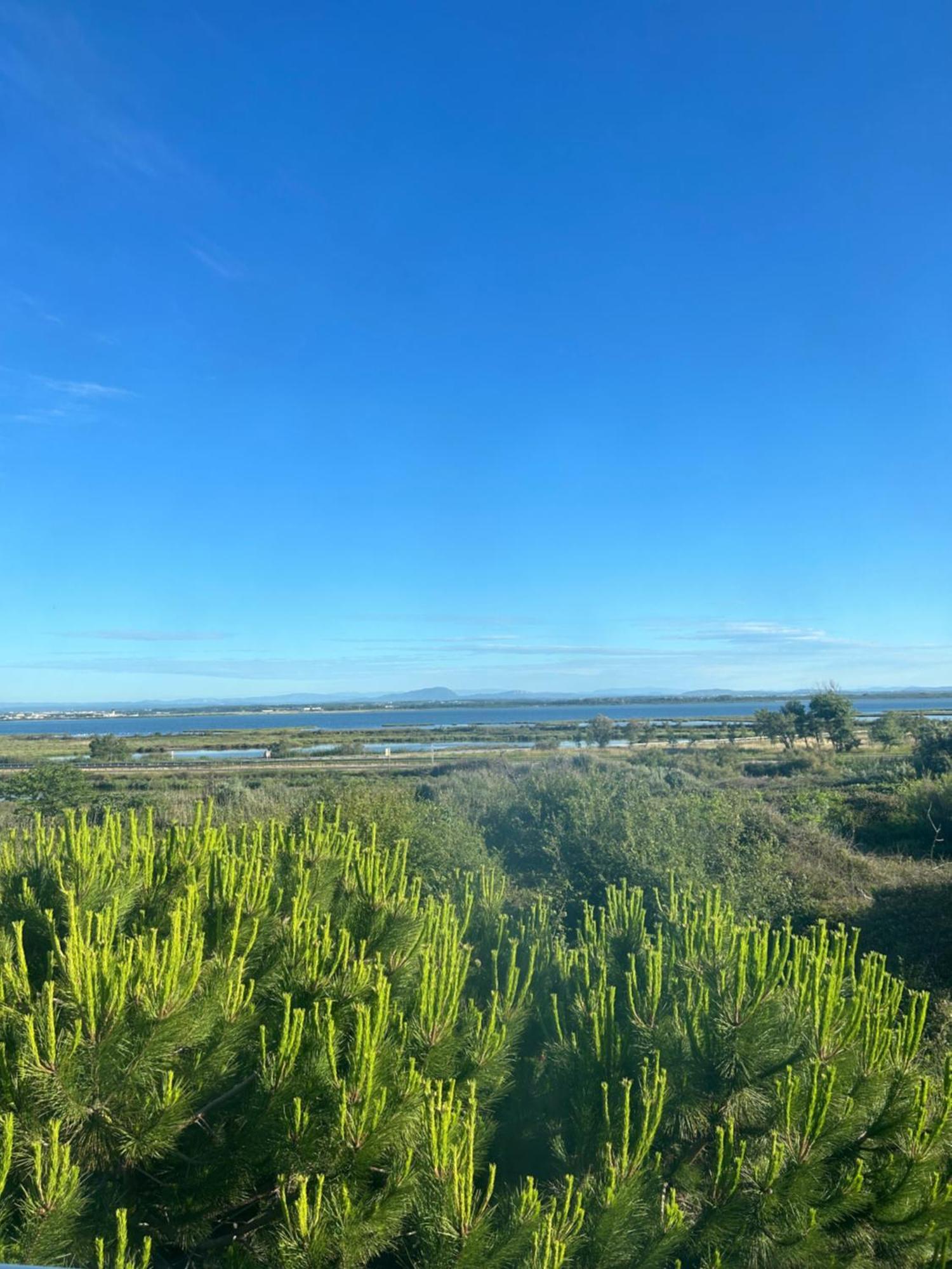 Appartement Traversant Vue Mer Et Etang モーギオ エクステリア 写真